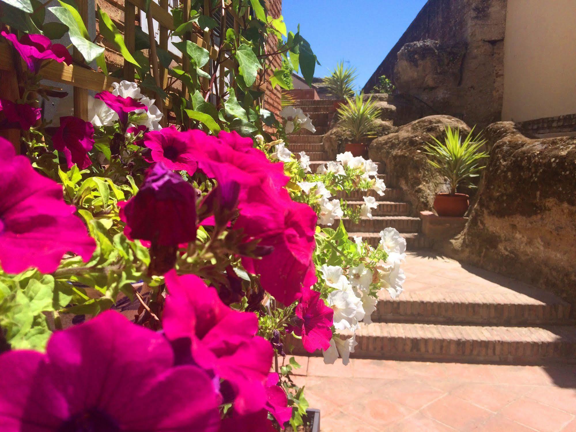Hotel Hospederia Convento De Santa Clara Palma del Río Zewnętrze zdjęcie